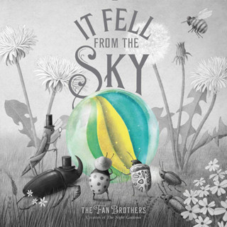 It Fell from the Sky Terry Fan, Eric Fan Hardback