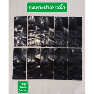ถุงเพาะชำสีดำขนาด 5×12 จำนวน 10 ใบ
