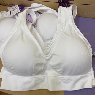 เสื้อชั้นในซาบีน่า sabina easy happy bra SBXA995 ทรงสวม ยืด ฟรีไซส์ มาใหม่ ล่าสุด ขายส่ง ขายถูก