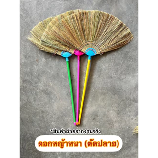ไม้กวาดดอกหญ้าทำมือ งาน OTOP เย็บ 3 ตะเข็บ (ตัดปลาย) ทากาว ด้ามพลาสติก 70 ซม. เกรด A