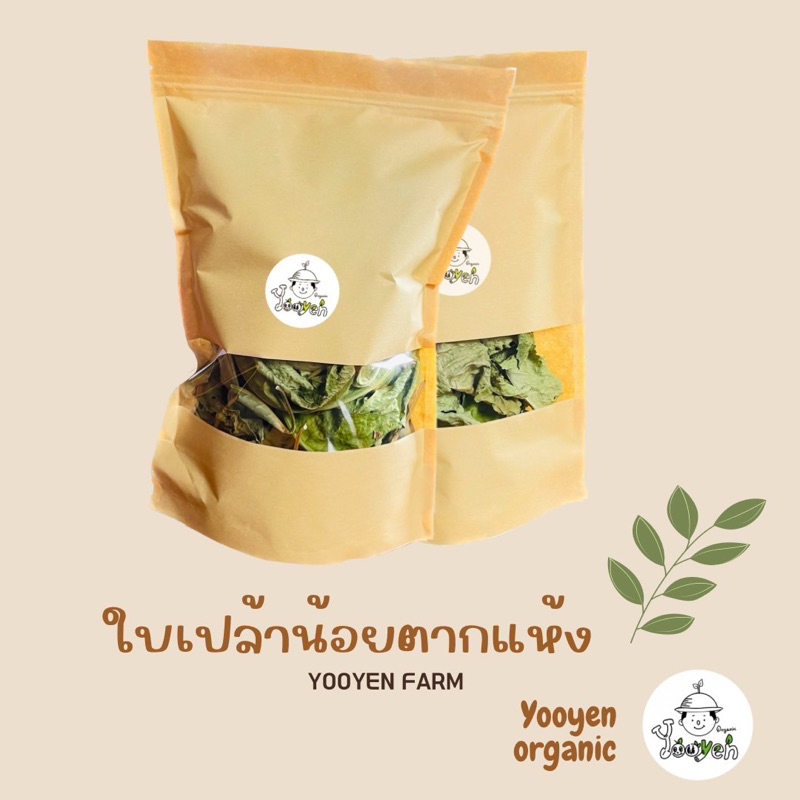 ใบเปล้าน้อยออแกนิกตากแห้ง30กรัม