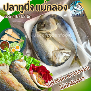 ปลาทูนึ่งแม่กลอง หน้างอคอหัก 🐟 ตัวละ 140-180กรัม ปลาทู ปลาทูแม่กลองแท้ 🚛ค่าส่ง99 บาท