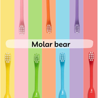 แปรงสีฟันเด็ก Molar Bear ขนนุ่ม หัวแปรงขนาดเล็ก  รุ่นธรรมดา สำหรับเด็ก 0-3ปี+ รุ่นKids สำหรับเด็ก 3-6ปี