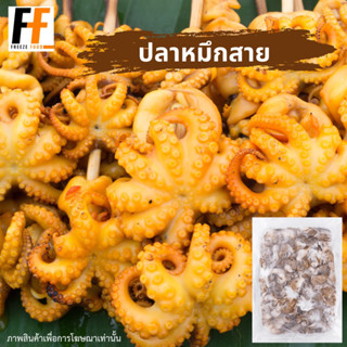 หมึกสายแช่แข็ง 1 กิโลกรัม (28-32ตัว/กก.) | FROZEN SQUID