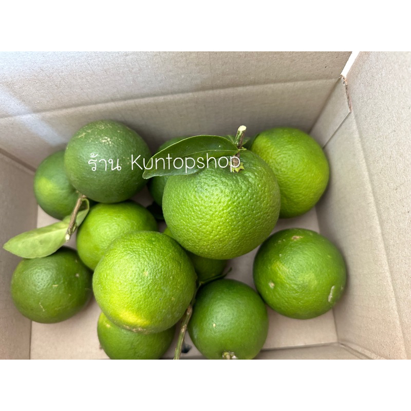 ส้มเช้ง ปลอดสารพิษจากสวน (1kg.)