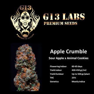 Apple Crumble - G13 Labs