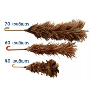 ไม้ปัดขนไก่ ขนธรรมชาติ Feather duster( มี 3 ขนาด 40,60,70 CM. )