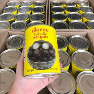 230 บาท ต่อกระป๋อง เห็ดถอบกระป๋องตราภูเขาส่งไวของออกทุกวันชัวร์