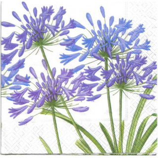 Pladao Napkin ภาพดอกไม้ ดอกอกาแพนทัส สีม่วง Agapanthus กระดาษ แนพกิ้น สำหรับงานศิลปะ เดคูพาจ decoupage ขนาด L 33x33