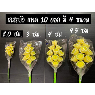 เกสรบัว แพ็ค 10 ดอก พร้อมส่ง 4 ขนาด