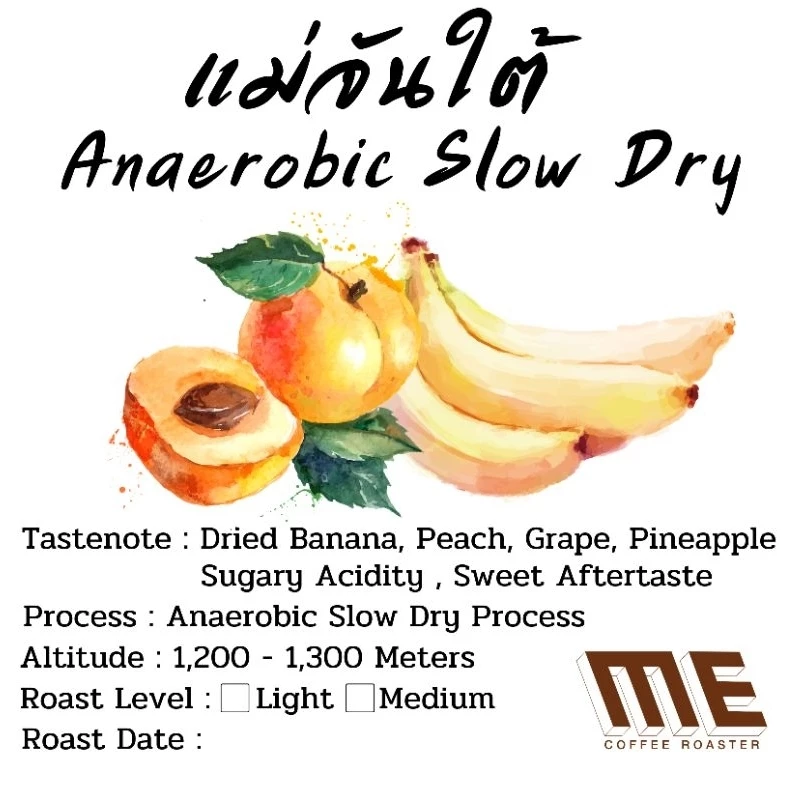 เมล็ดกาแฟ แม่จันใต้ Anaerobic Slow dry process Score 87.57