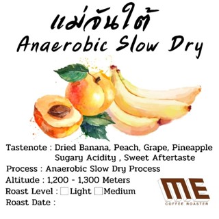 เมล็ดกาแฟ แม่จันใต้ Anaerobic Slow dry process Score 87.57