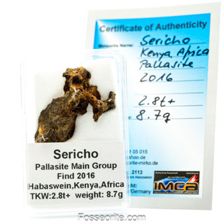 อุกกาบาต หินผสมเหล็ก SERICHO - Pallasite ชิ้นเล็ก พร้อมใบรับรอง จาก Germany #3 หนัก 8.7g