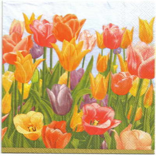 Pladao Napkin ภาพดอกไม้ ดอกทิวลิป Tulip หลากสี กระดาษ แนพกิ้น สำหรับงานศิลปะ เดคูพาจ decoupage ขนาด L 33x33