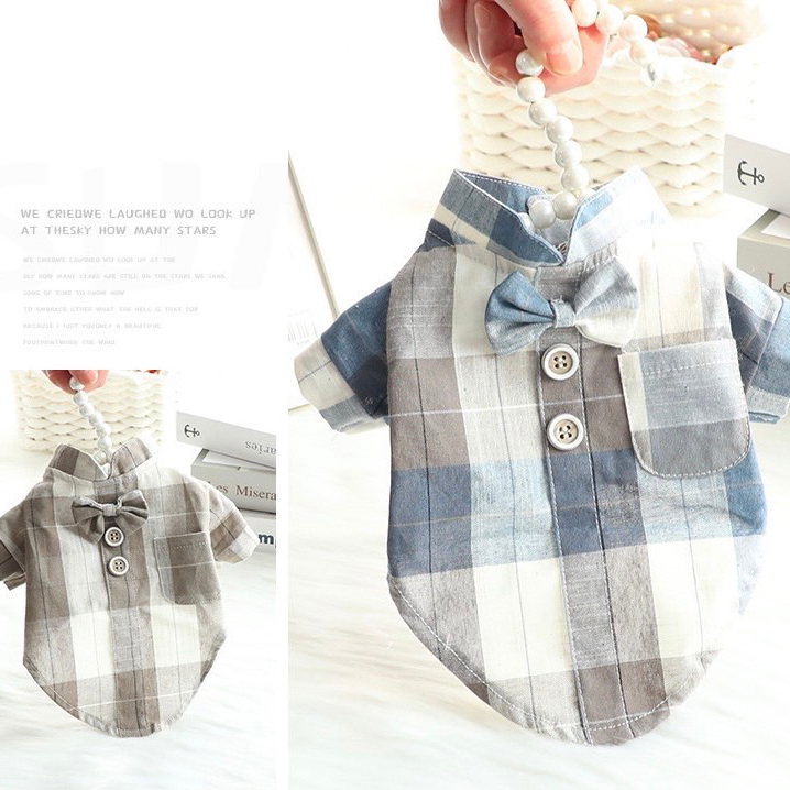 [🚚 พร้อมส่ง] เสื้อเชิ้ตแมวมีโบว์ Bennett Pet Cloth ชุดแมว หมา สุนัข ชุดแมวน่ารัก - รูปที่ 3