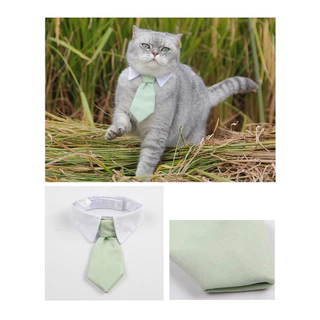 [🚚 พร้อมส่ง] เนคไทสัตว์เลี้ยง Gentleman Pet Tie เนคไท เครื่องประดับสัตว์เลี้ยง โบว์แมว หมา