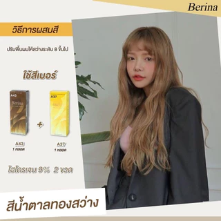 Berina สีย้อมผม เบอริน่า โทนน้ำตาล ปิดผมขาว ปิดหงอก A1 A2 A3 A4 A5 A13 A25 A26 A27 A28 A29 A30 A42 A43 A44 A45 A46 A47