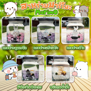 Marimo มาริโมะนำเข้าจากญี่ปุ่นแท้  พร้อมขวดโหลแก้วและหินอะคริลิคคริสตัล ชุดเซ็ทมาริโมะตุ๊กตาน่ารัก