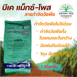 GrowsPro บีเค แม็กซ์-โพส 80 WG ขนาด 1 กก. สารกำจัดวัชพืชใบแคบและใบกว้าง ในไร่อ้อย