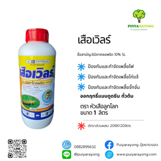 เสือเวิลร์ (1ลิตร) อิมิดาคลอพริด 10% SL ป้องกันและกำจัดเพลี้ยไฟ เพลี้ยไก่แจ้ เพลี้ยจั้กจั่น ออกฤทธิ์แบบดูดซึม ทั่วต้น