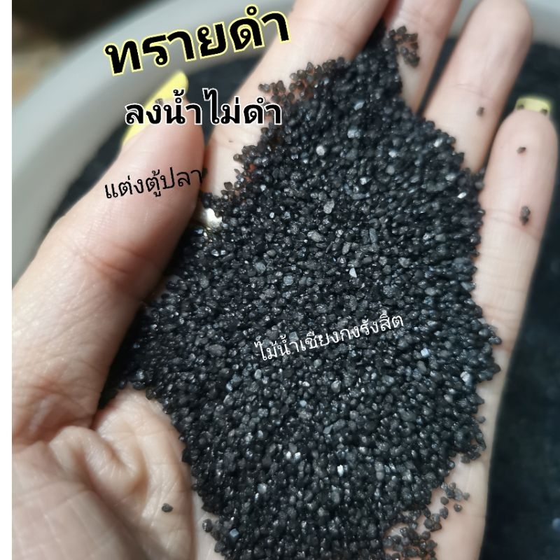 ทรายดำ​ แต่งตู้ปลา​  น้ำไม่ดำนะค่ะ​ ปลูกต้นไม้ได้