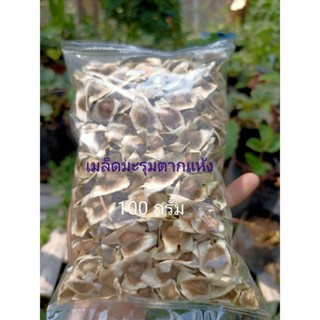 เมล็ดพันธุ์มะรุมตากแห้ง🌿Dried Moringa Seeds🌿ปลอดสารเคมีแบบธรรมชาติ