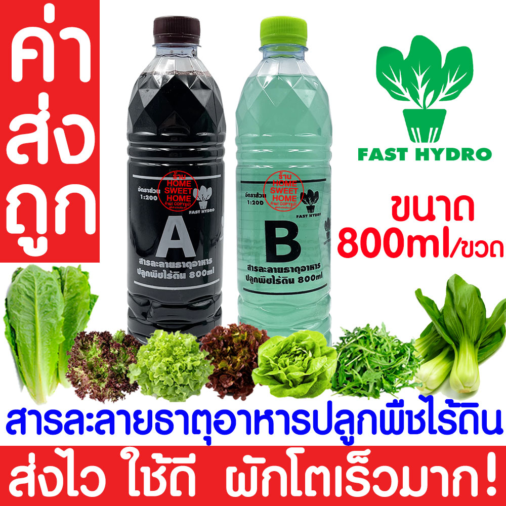 *ค่าส่งถูก* สารละลาย AB (800mlx2ขวด)ไฮโดรโปนิกส์ เอบี ธาตุอาหาร ผักไฮโดร Hydroponics ผักสลัด ผักไทย ผักจีน clearance