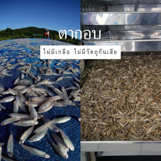 phurice ปลาซิว 960 กรัม รสจืด คัดคุณภาพ ปลาแห้ง ปลาแก้ว ปลาแก้วอบกรอบ ขนาด/ซอง240 กรัม 4ซอง {สินค้าพร้อมส่ง}
