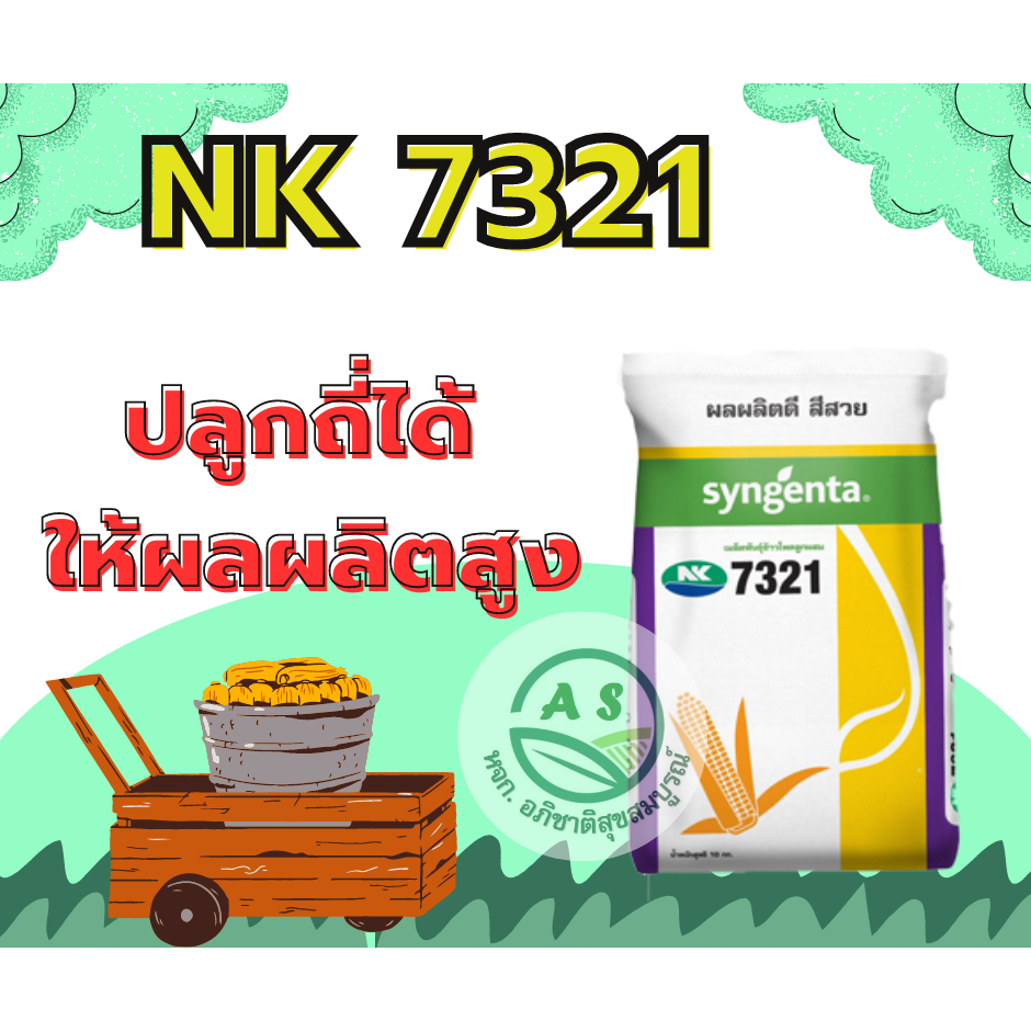 ข้าวโพดเลี้ยงสัตว์ เอ็นเค 7321(NK7321)เบอร์ 2หุน/3หุน ขนาดบรรจุ 10 กิโลกรัม ผลผลิตสูง ฝักใหญ่ แกนเล็