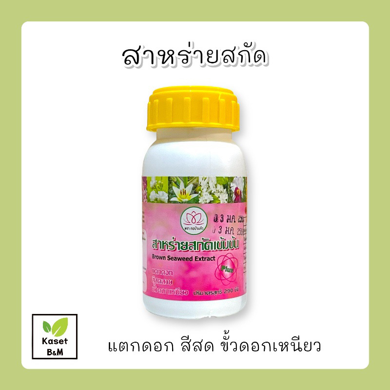ปุ๋ยน้ำสาหร่ายสกัด เข้มข้น Seaweed Extract ดอกดก สีสวยสด ขั้วเหนียว