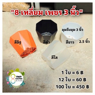 กระถาง 8 เหลี่ยม เพชร 3 นิ้ว //กด 100 ใบ 450฿--กระถาง 8 เหลี่ยม แคคตัส กระบองเพชร กระถางพลาสติก