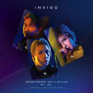 INDIGO POSTER (โปสเตอร์)