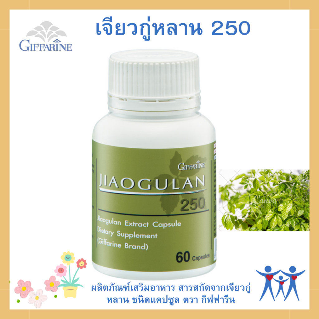 เจียวกู่หลาน ผลิตภัณฑ์เสริมอาหาร สารสกัดจากเจียวกู่หลาน ชนิดแคปซูล ตรา กิฟฟารีน เจียวกู่หลาน