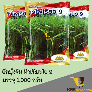 เมล็ดพันธุ์ ผักบุ้ง ทิวเรียวไผ่ 9 ขนาด 1 kg. ผักบุ้งใบไผ่ ผักบุ้งจีน ตราภูเขาทอง