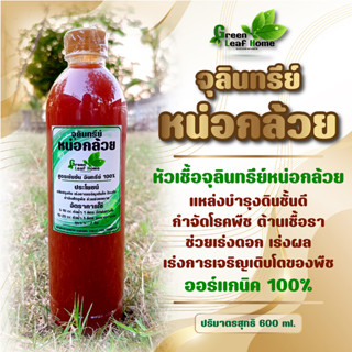 จุลินทรีย์หน่อกล้วย ขนาด 600 ML หัวเชื้อคุณภาพ บำรุงดิน เร่งการเจริญเติบโต ฮอร์โมนพืช