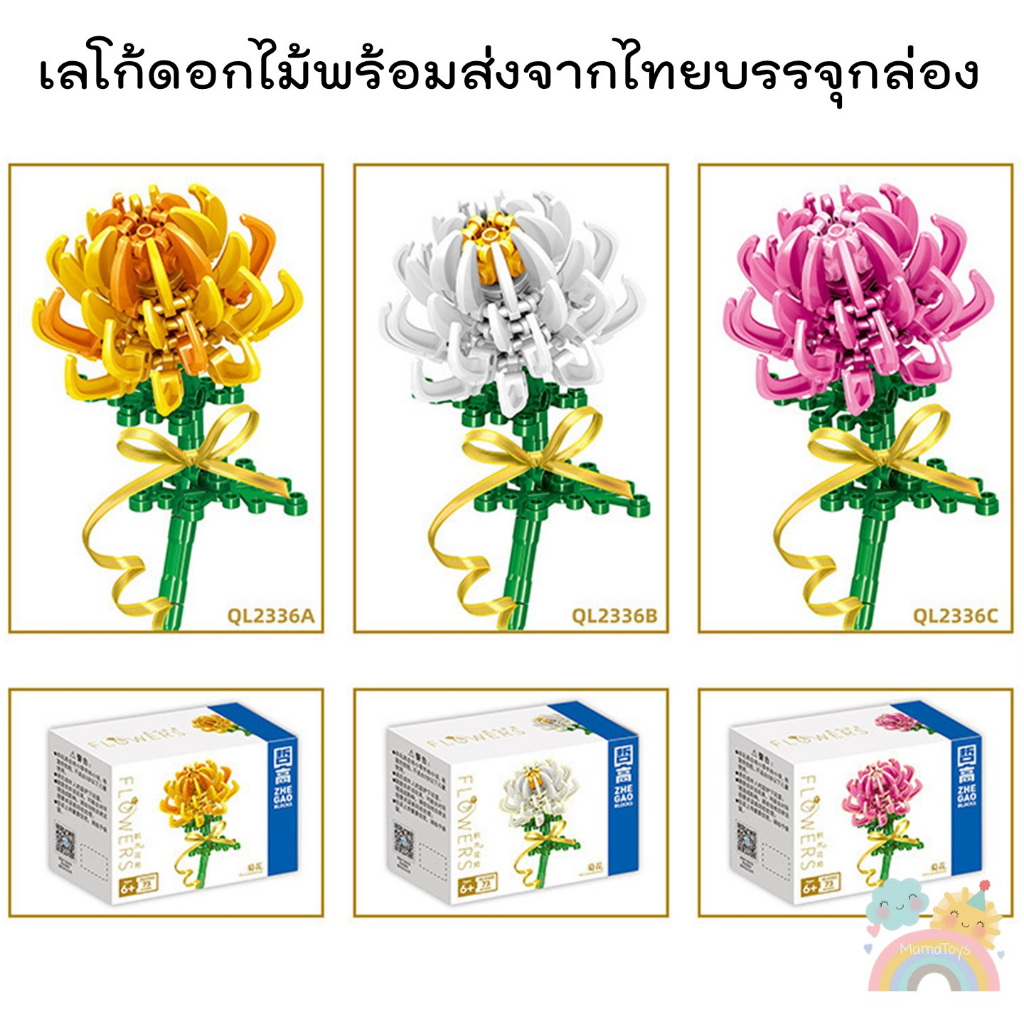 รูปภาพ 6