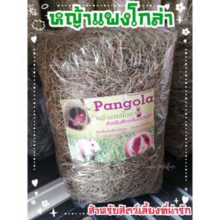 หญ้าแพงโกล่า​ ขนาดครึ่งกิโล/1กิโลกรัม