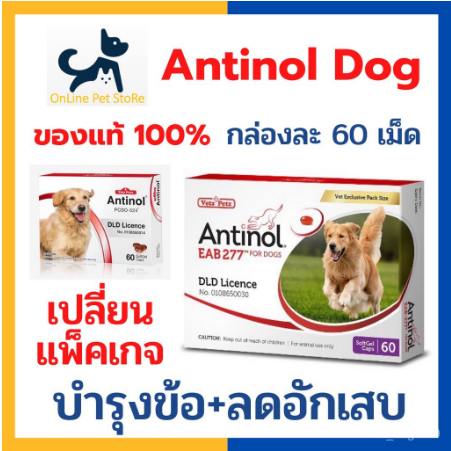 Antinol DOG 60 แคปซูล(หมดอายุ04/2024)แพ็คเกจใหม่ อาหารเสริมบำรุงข้อ ข้ออักเสบ 1 กล่องบรรจุ 60 เม็ด