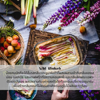 หัวน้ำหอม กลิ่นวอร์ม Wild Rhubarb หัวน้ำหอมทำเทียน