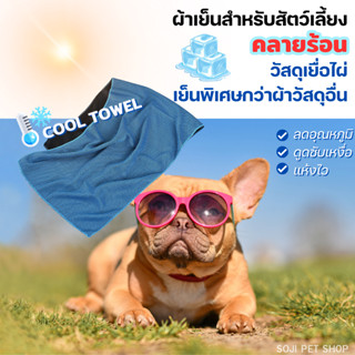 1แถม1❄️ผ้าลดอุณภูมิสัตว์เลี้ยง ผ้าเย็นคลายร้อน COOL TOWEL ผ้าเย็นลดอุณหภูมิ ผ้าเช็ดเหงื่อ ผ้าเช็ดเหงื่อออกกำลังกาย