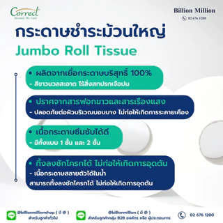 [ส่งฟรี] Correct กระดาษชำระม้วนใหญ่ หนา 2 ชั้น พิมพ์ลาย ความยาว 250 เมตร/ม้วน x 12 ม้วน [ยกลัง]
