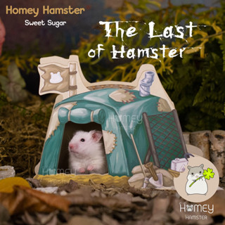 Homey Hamster บ้านหลบแฮมสเตอร์ Sweet Sugar ของแต่งกรงหนูแฮมสเตอร์ กล่องขุด รองกรง millamore อาหารh1 ไม้ก๊อกสับ ขนมหนู