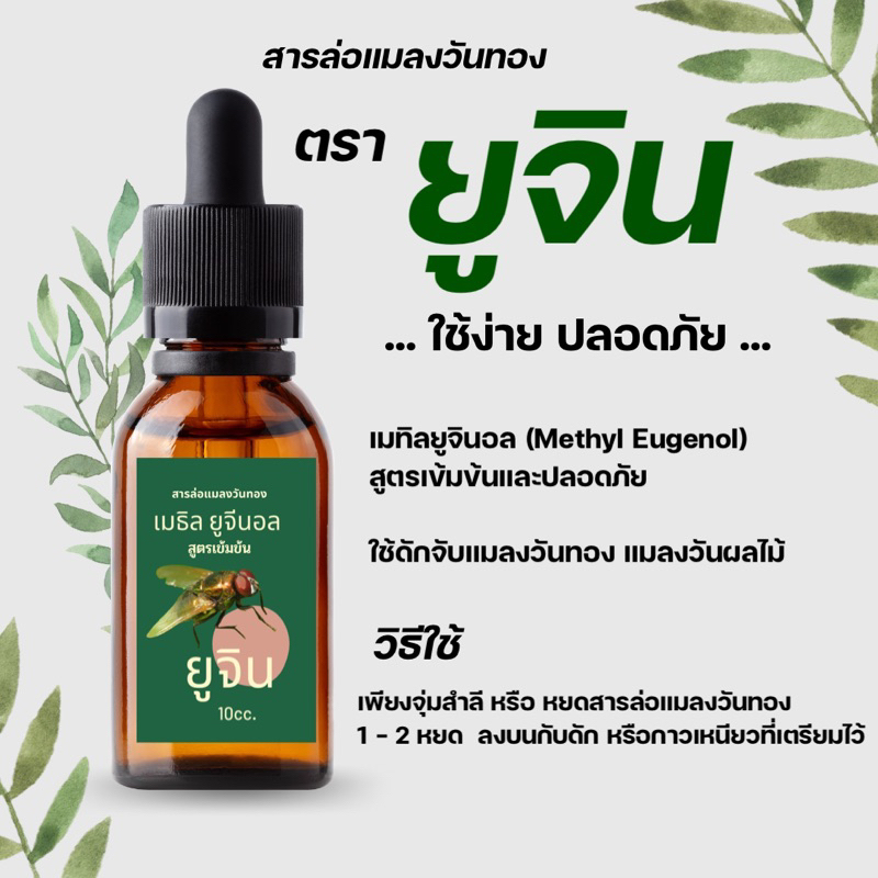 สารล่อแมลงวันทอง ยูจิน10 ซีซี ขวดใหม่⚡️( methyl eugenol 100%)💥ล้อตใหม่ล่าสุด