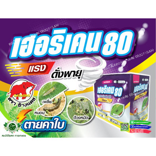 เฮอริเคน80 50 กรัม ฟิโพรนิล80% แรงแต่ไม่เป็นอัตราย ยาเย็น ฉีดผ่าดอกได้ ตราช้างแดช