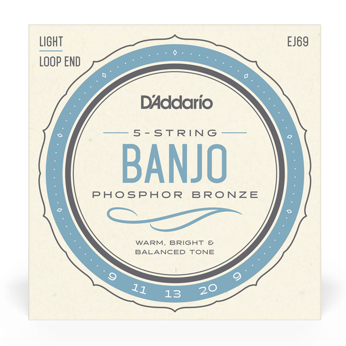 สายแบนโจ D'Addario Banjo Strings EJ69 Regular Light Set 9-20 Phosphor Bronze