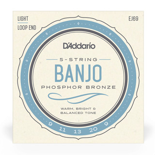 สายแบนโจ DAddario Banjo Strings EJ69 Regular Light Set 9-20 Phosphor Bronze