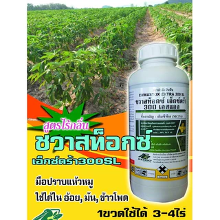 ชวาสท็อกซ์ ตัวจริงเรื่องกำจัดวัชพืชใบกว้าง ในข้าว เช่น หนวดปลาดุก กกขนาก กกทราย (ใช้ผสมคุมฆ่า เก็บหญ้าในนาข้าว)