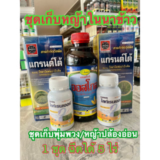 ชุดเก็บ หญ้าพุ่มพวง ข้าวนกสีชมพู หญ้าปล้องอ่อนใบมัน (1 ชุดฉีดได้ 5 เป้ เท่ากับน้ำ 20 ลิตร) #ยาเก็บพุ่มพวง #หญ้าข้าวนก