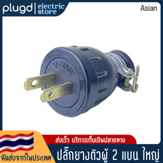 หัวปลั๊กตัวผู้ 2 ขาแบน ASIAN 16A 250V (D-05)