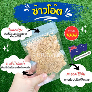 ข้าวโอ๊ต Australia อาหารนก อาหารเสริมสำหรับนก และสัตว์ฟันแทะ (แบ่งขาย 100G / 250G)